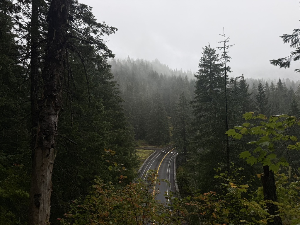 A misty two-lane road disappearing into a dense Pacific Northwest forest